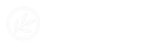 Brush Valley Cushion Company